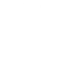 circle-gauge
